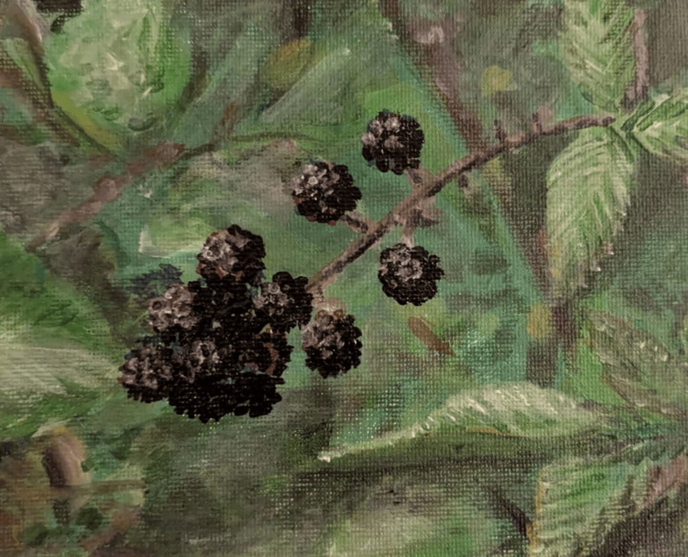 Blackberries