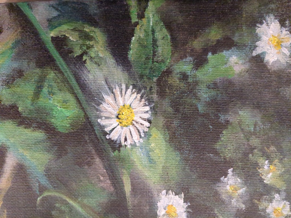 Daisies