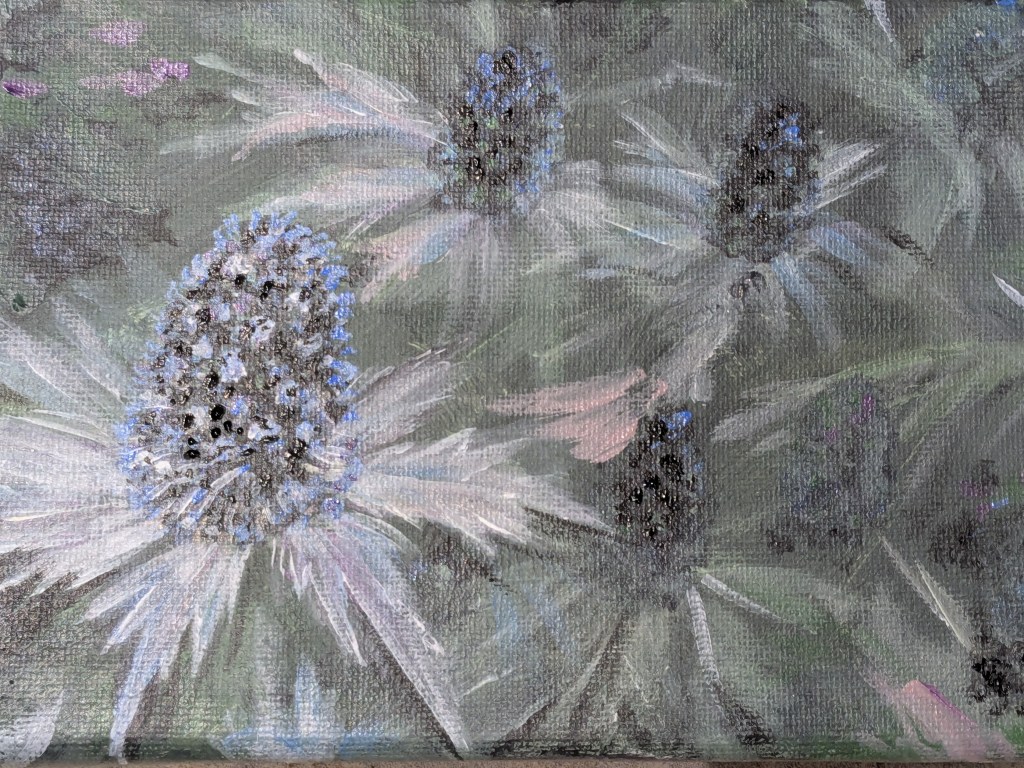 Sea holly